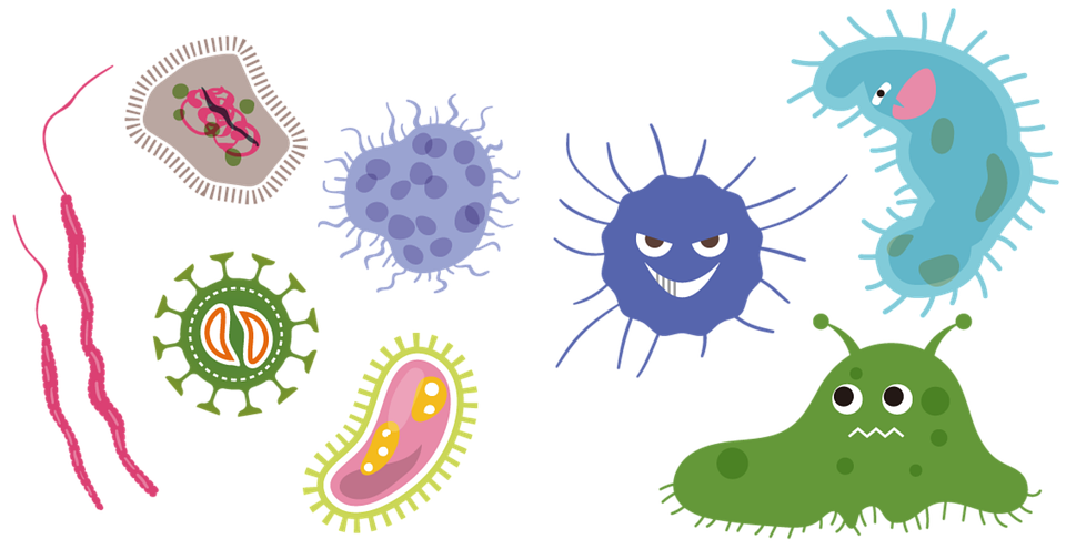 What can Ultraviolet disinfection remove from water?