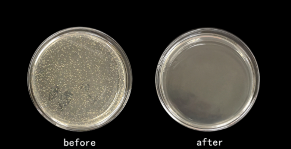 The effect of ultraviolet bactericidal