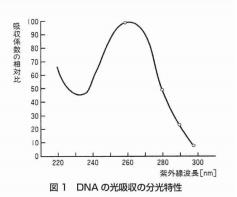 UVC除菌のメカニズムについて