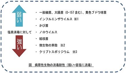 【資料】塩素消毒の効果