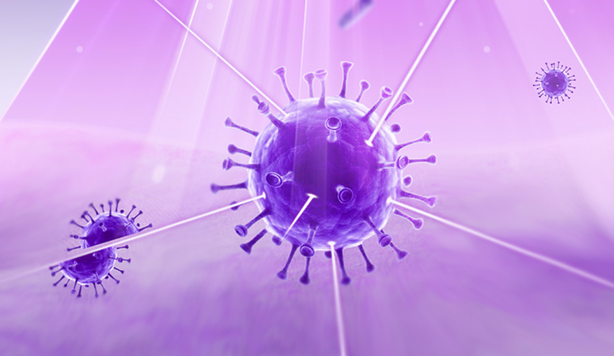 Innest UVC-LED Water Sterilization Performance Across Major Microorganism Categories
