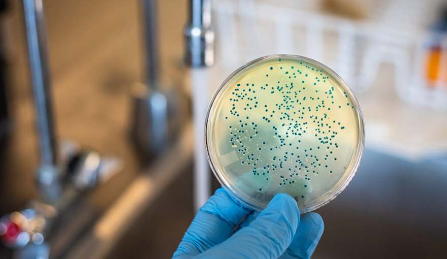 When Clear Water Isn’t Always Safe？